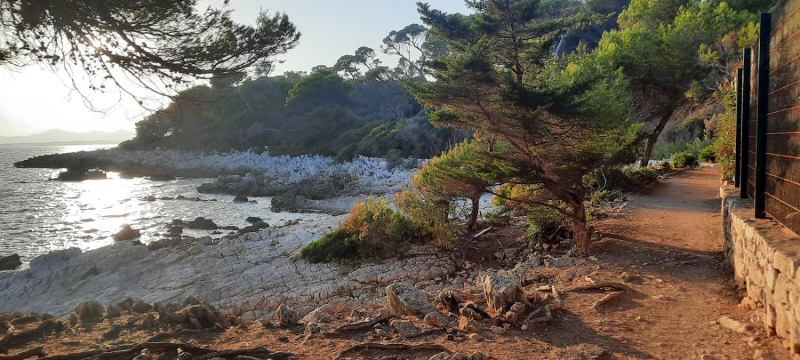 Studio Sun-Beach Avec Parking Et Jardin - 500M Des Plages De Juan Les Pins Antibes Buitenkant foto