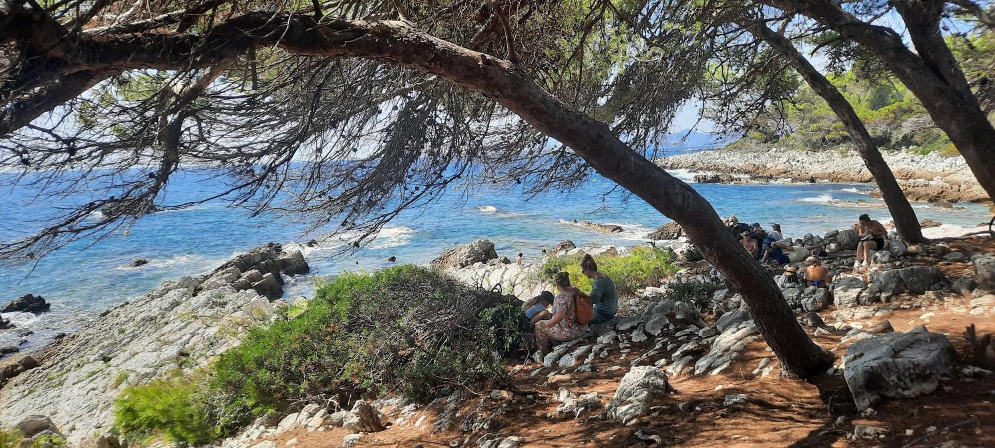 Studio Sun-Beach Avec Parking Et Jardin - 500M Des Plages De Juan Les Pins Antibes Buitenkant foto